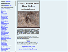 Tablet Screenshot of birdphotography.com